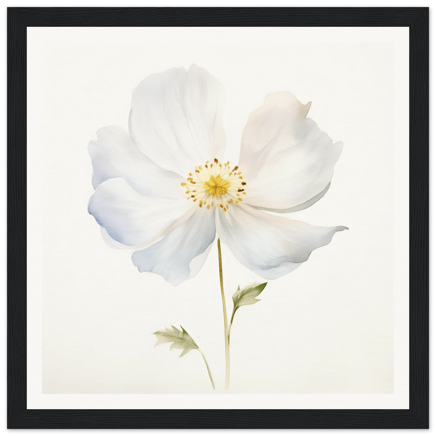 A white flower with a yellow center