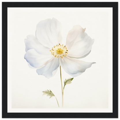 A white flower with a yellow center