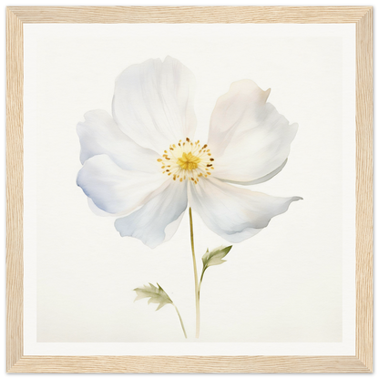 A white flower with a yellow center