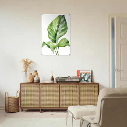 A white wall with a green leaf on it